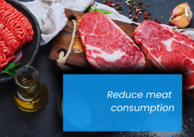 Introducing the Planetarian Diet!