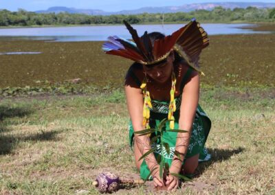 Restoring Land and Knowledge: Production of Native Seedlings by Indigenous Women in the Pantanal