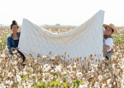 Scaling a Regenerative Cotton Program Across the United States