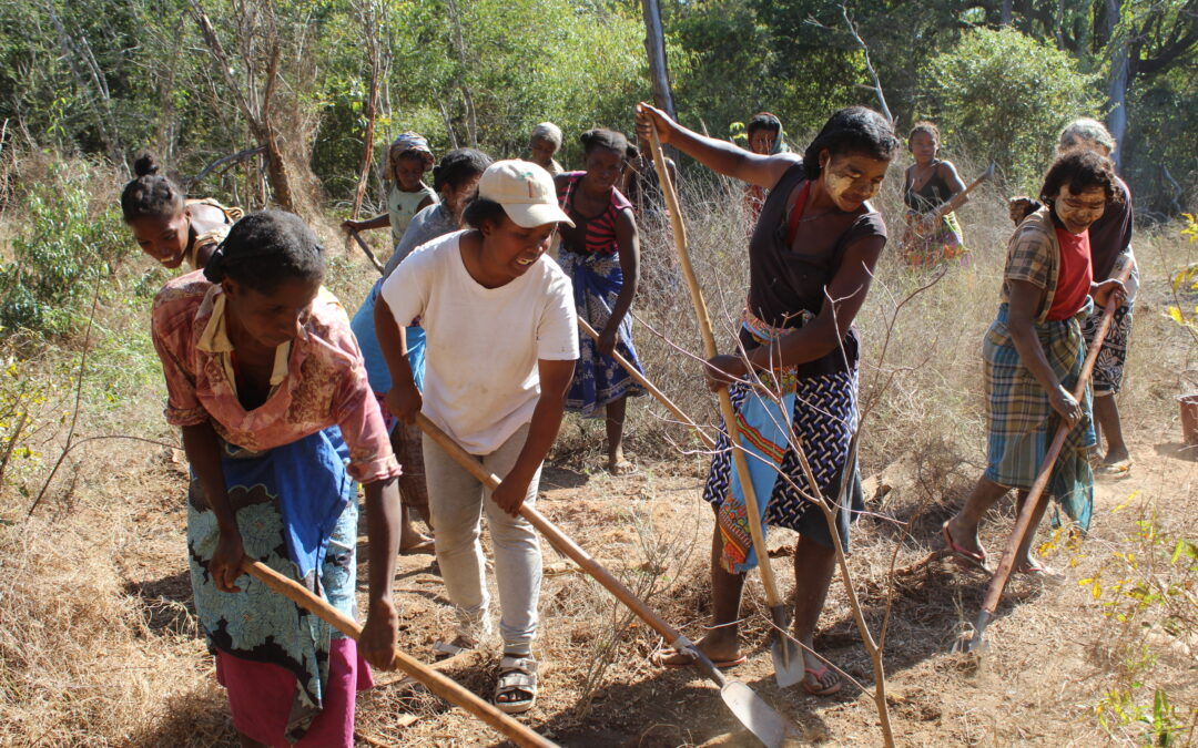 Restoring Madagascar’s Baobab Forests By Creating a Local Women-led NGO