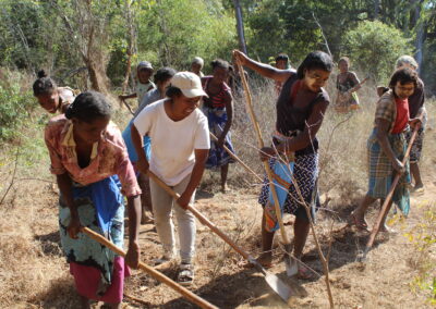 Restoring Madagascar’s Baobab Forests By Creating a Local Women-led NGO