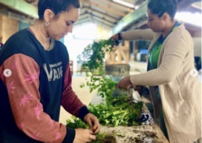 Invigorating Soil and Families in Rapa Nui through Nutritious Food