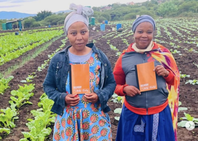 Enhancing Food Sovereignty By Cultivating Traditional Crops in South Africa