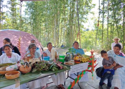 Revaluing and Strengthening the Production of Nahua Backyard Gardens for Healthy Diets in Northeastern Mountains of Puebla, Mexico