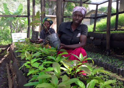 Regenerating Communities and Empowering Women through Agroforestry in Kasese, Uganda