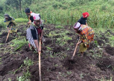 Restoring the Itombwe Rainforest through Community Action in the DR Congo