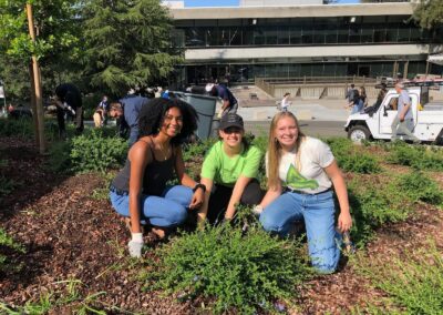 Rewilding College Campuses – Beautiful for the Eyes and the Environment