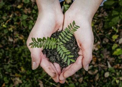 Small Actions, Big Changes