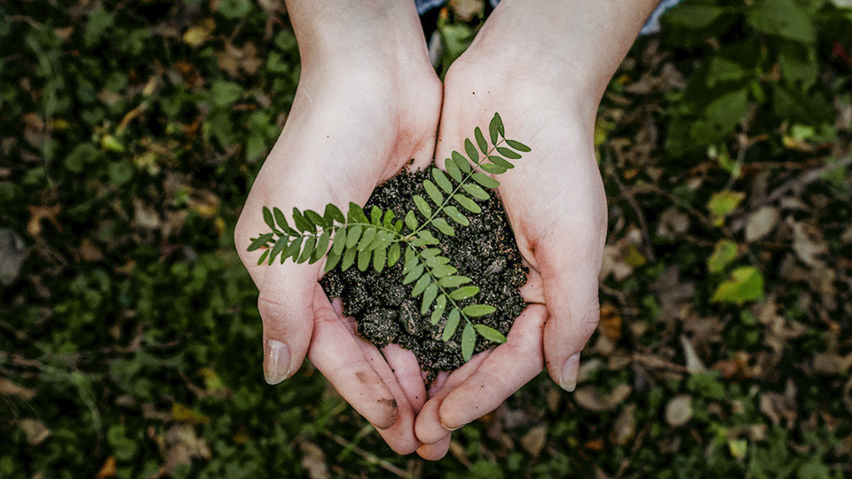 Small Actions, Big Changes