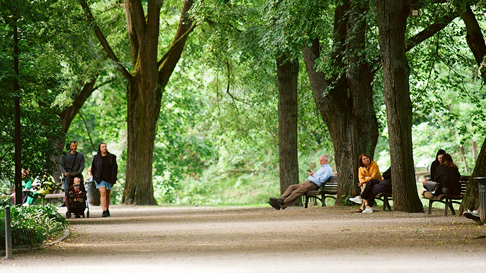 PEACE IN A CHAOTIC WORLD / How Nature Helps Us Stay Grounded