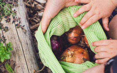 Creating Peaceful Habits: Small Actions That Ground You & Heal the Earth