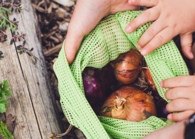 Creating Peaceful Habits: Small Actions That Ground You & Heal the Earth